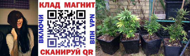 Наркошоп Новосиль АМФ  Псилоцибиновые грибы  ГАШ  Бошки Шишки  Меф  COCAIN  СОЛЬ 