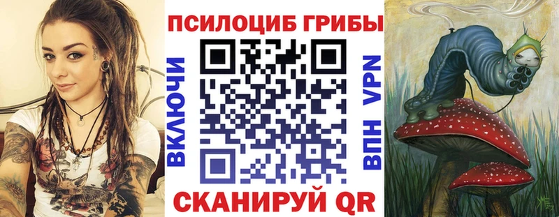 Галлюциногенные грибы мицелий  даркнет сайт  Новосиль 
